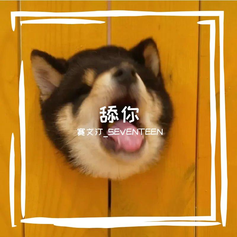 舔狗情歌封面