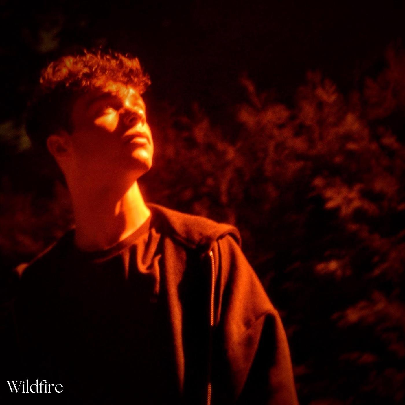 Wildfire (feat. Ramon Reed)