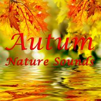 Autumn Nature Sounds: The Soothing Sounds of Fall