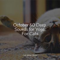 October 50 Deep Sounds for Yoga For Cats