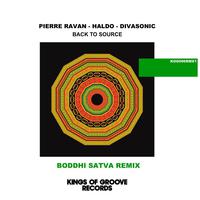 Back To Source (Boddhi Satva Remix)