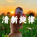 清新旋律封面