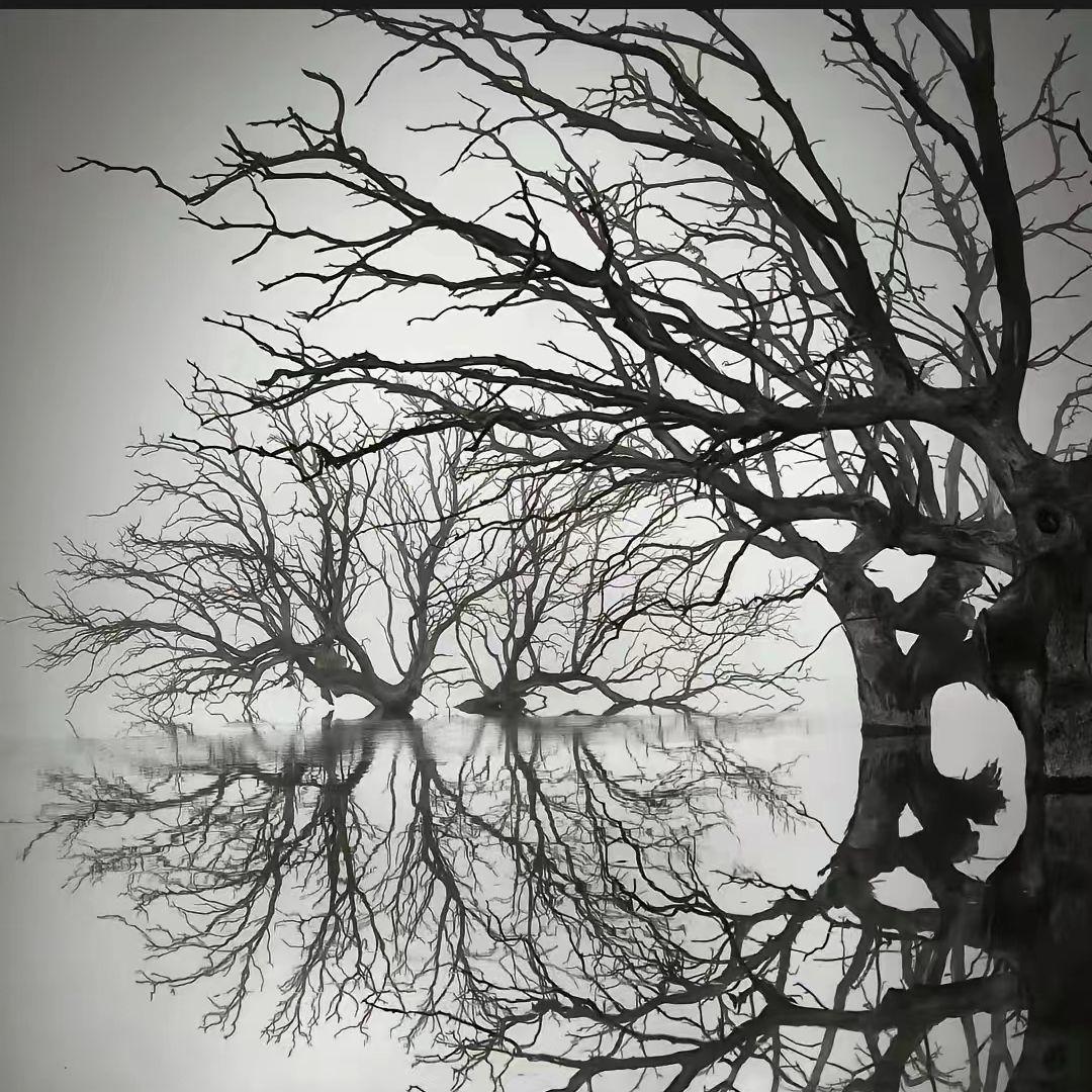 ''鋼鐵塚'' SASIOVERLOXD type beat