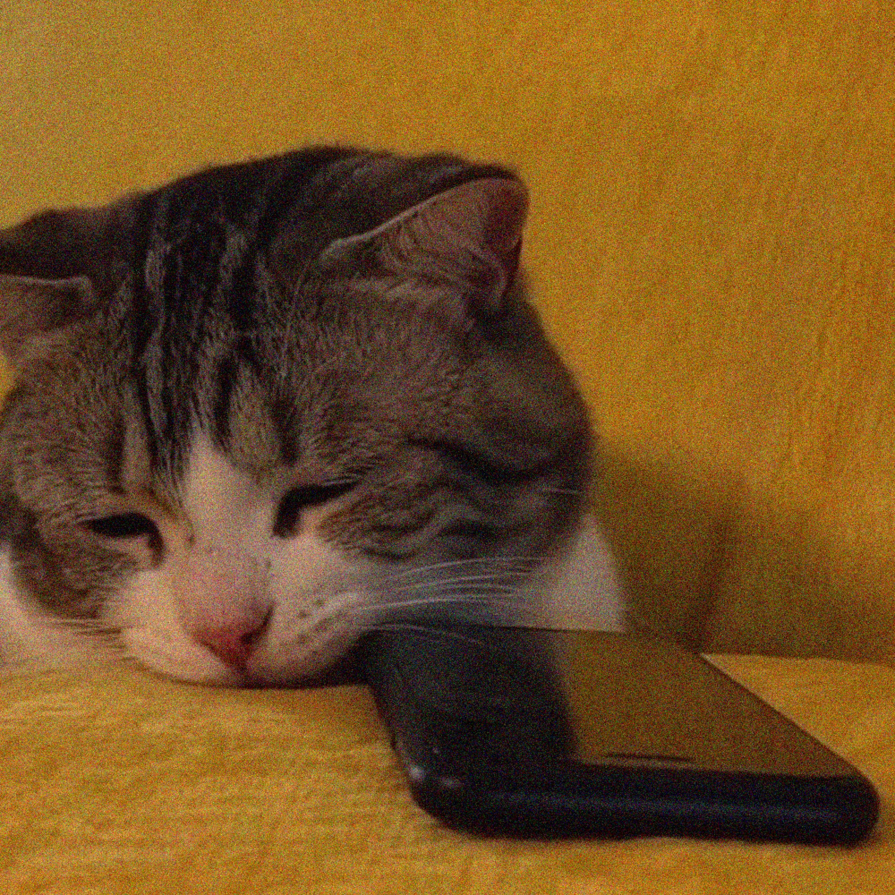 stalk ur socials (slowed)