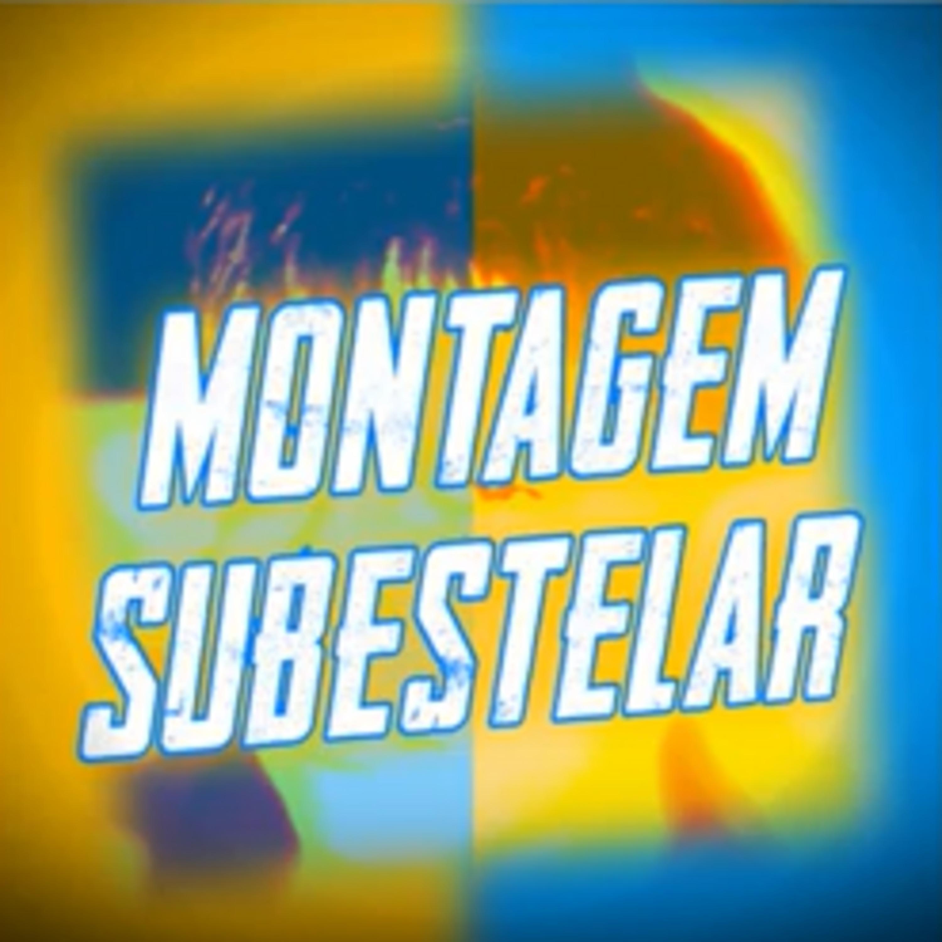 MONTAGEM SUBESTELAR