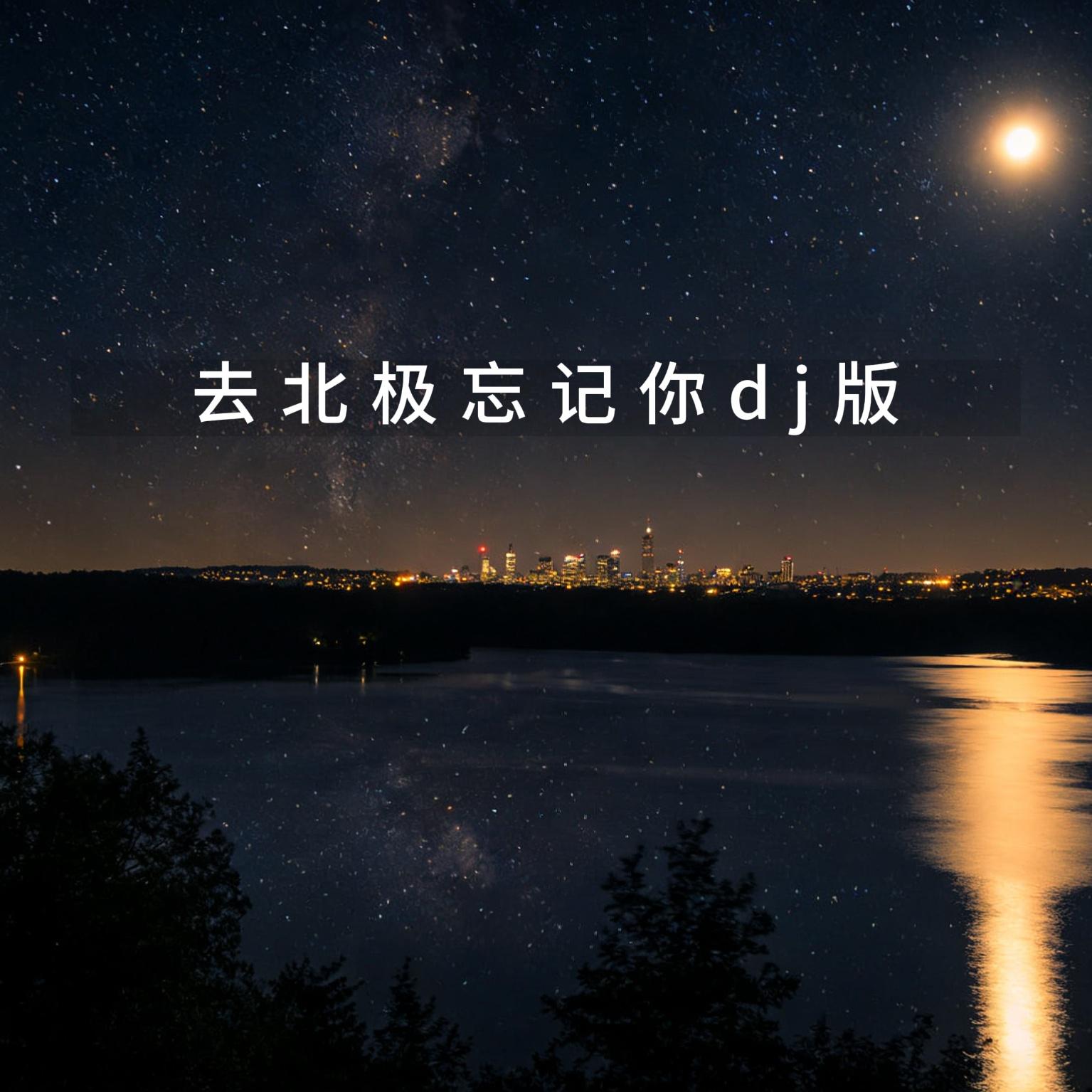 去北极忘记你dj版封面