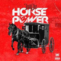 Horse Power 3