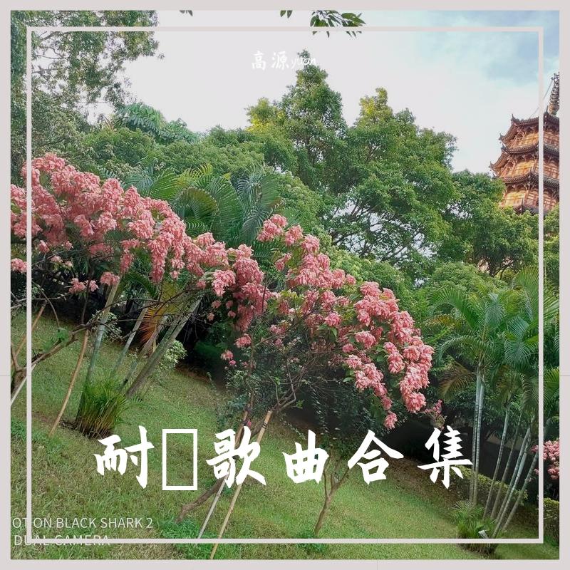 那个男孩（溫柔版）（翻自 汪苏泷） - 高小源yuan封面