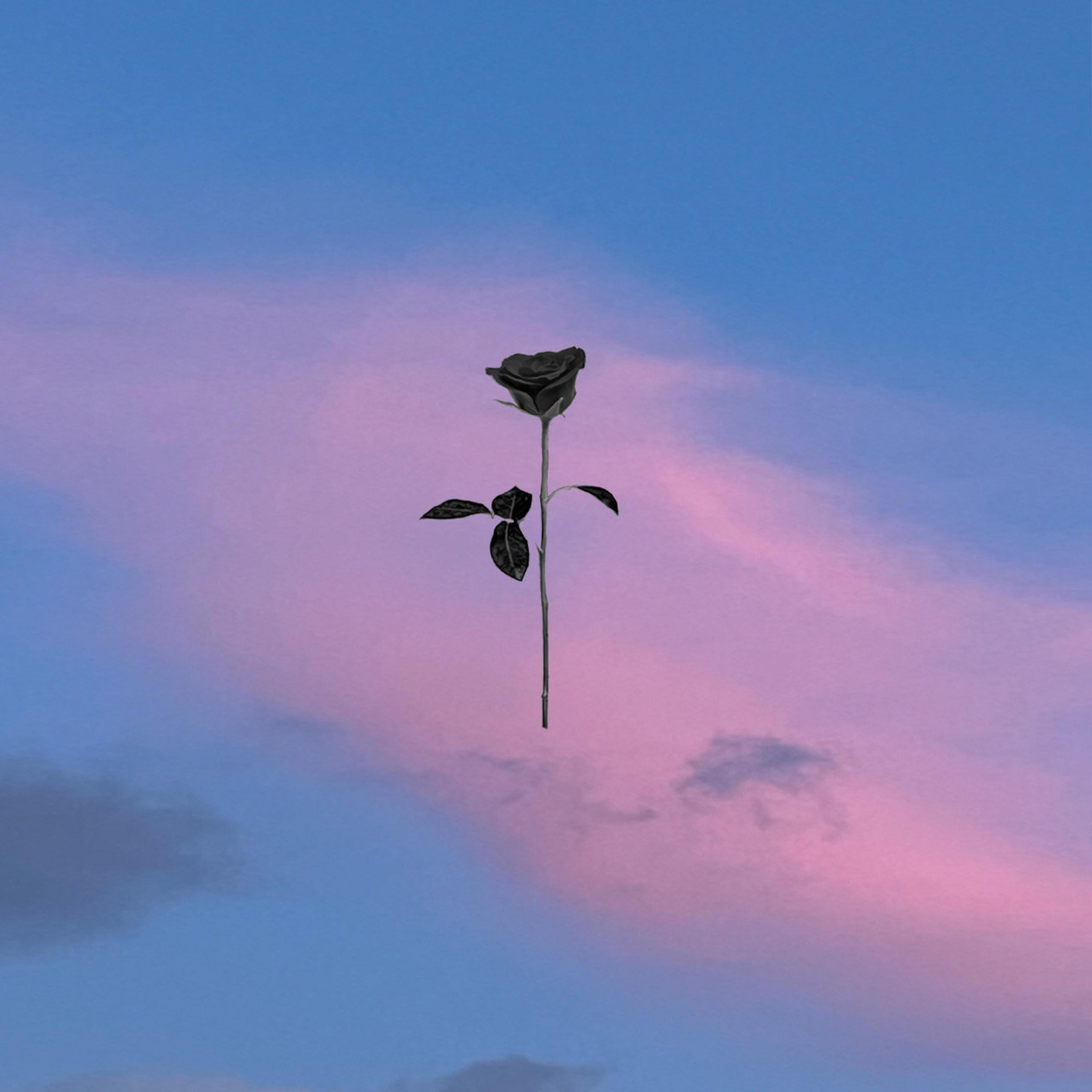 song-img
