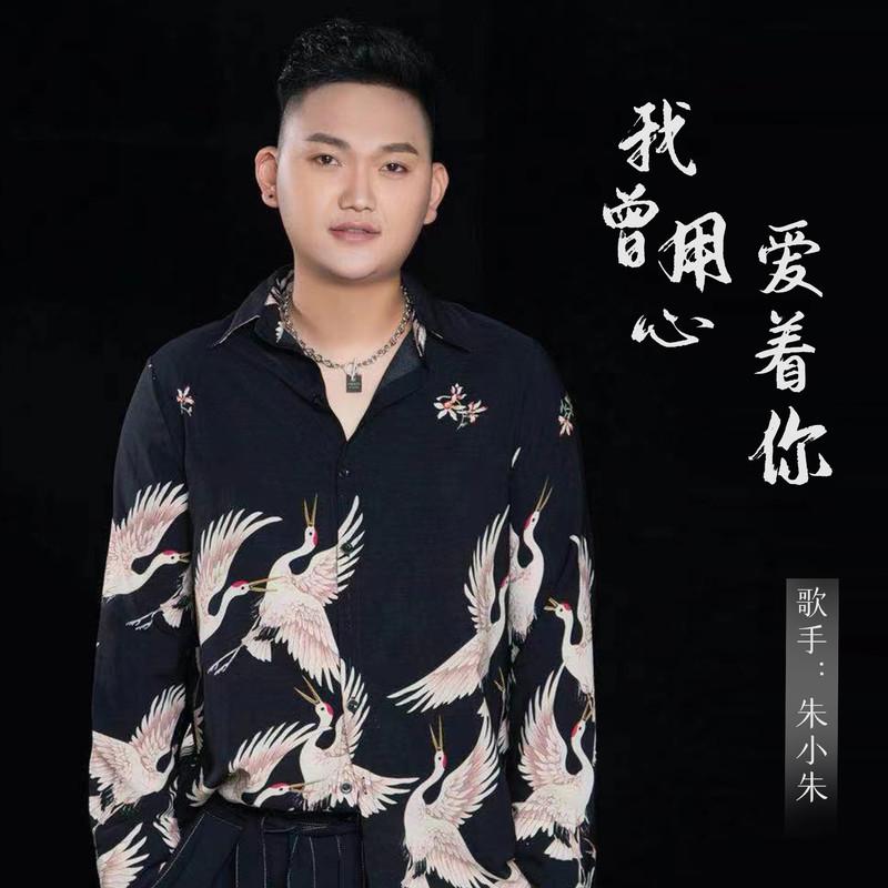我曾用心爱着你(DJ版)封面