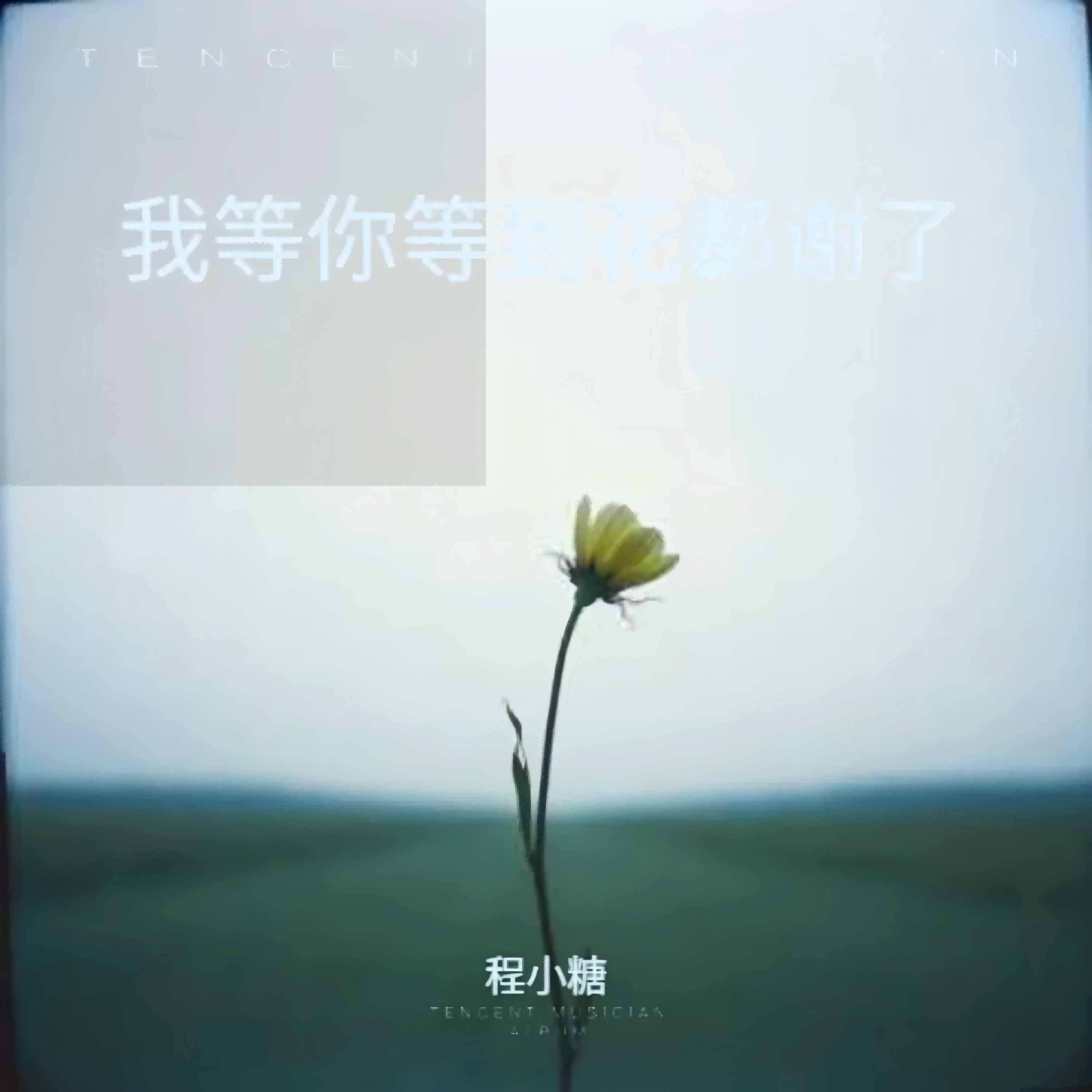 我等你等到花都谢了 - 程小糖封面