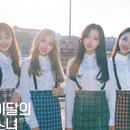 本月少女 yyxy