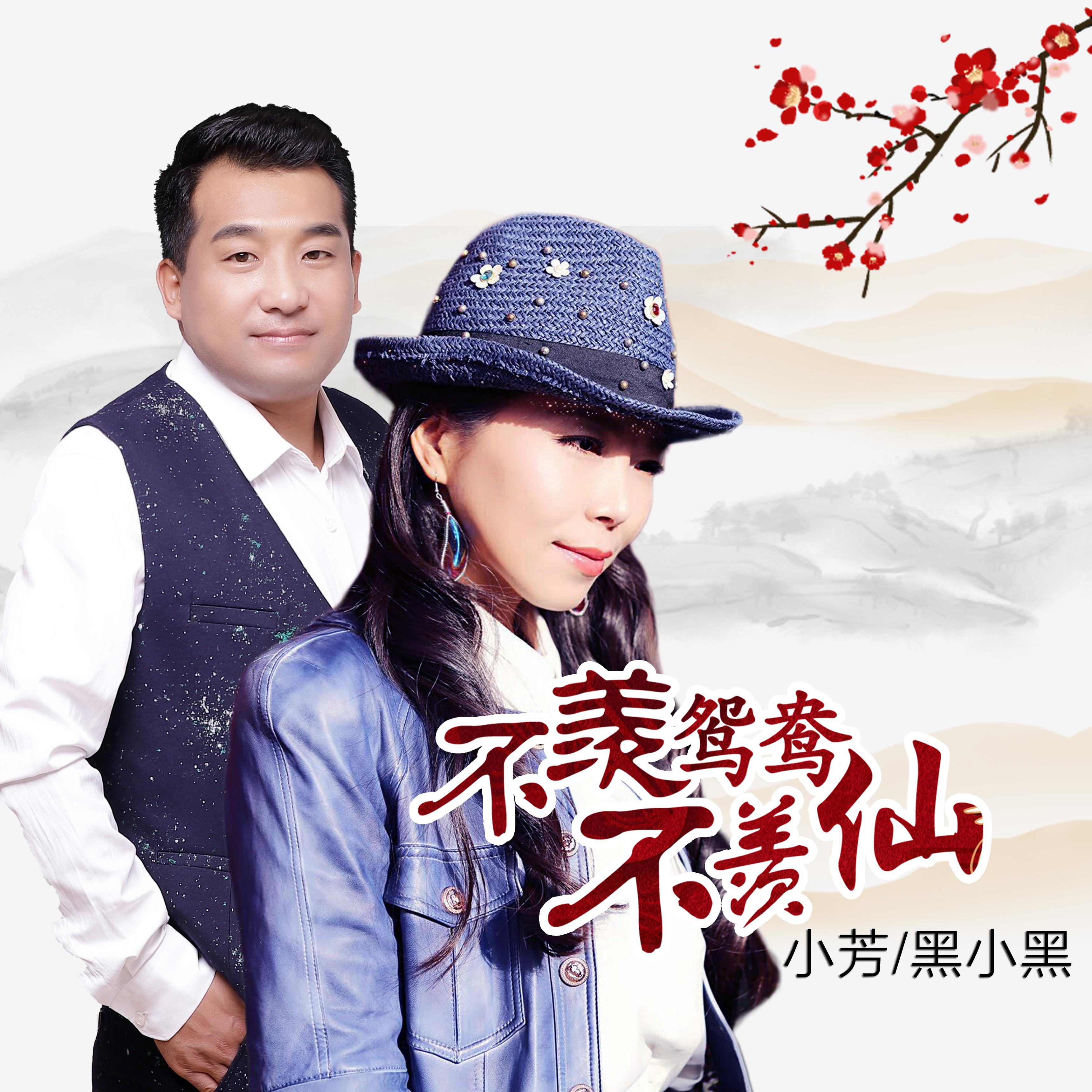不羡鸳鸯不羡仙封面