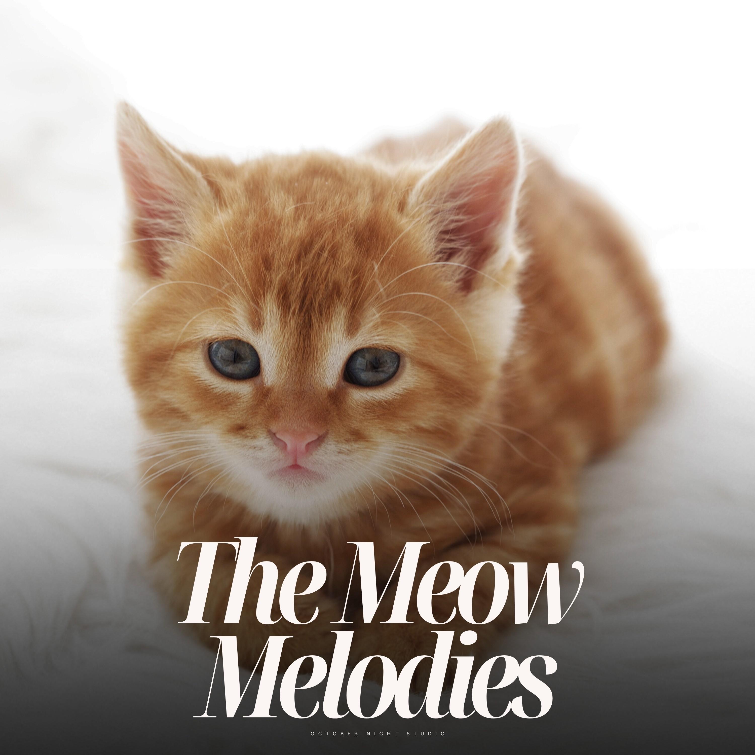 Seaside Market Play Ball_The Cat Relaxer_The Meow Melodies | 在线播放_Seaside Market Play Ball歌词_Seaside Market Play Ball下载 | 网易云音乐