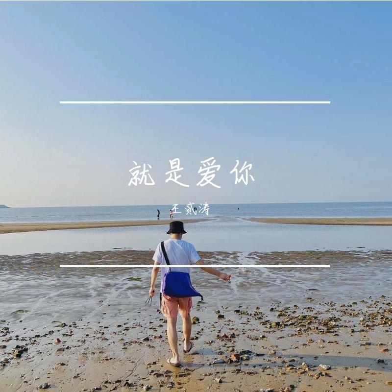 就是爱你封面