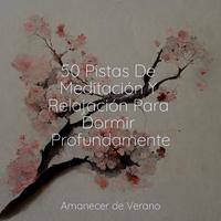 50 Pistas De Meditación Y Relajación Para Dormir Profundamente