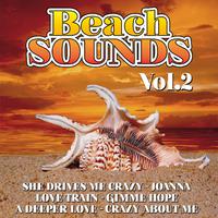 Beach Sounds Vol. 2