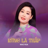 Rừng Lá Thấp