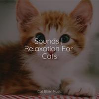 Sounds | Relaxation For Cats