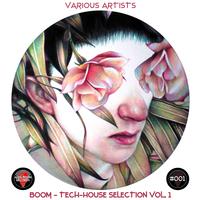 Boom - Tech-House Selection, Vol. 1