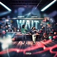 Wait (feat. Ladyy05)