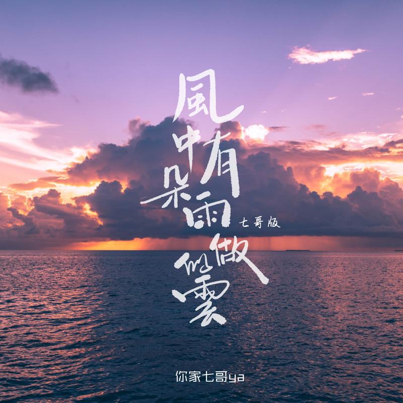 风中有朵雨做的云 (七哥版伴奏)封面