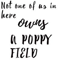 Not One Of Us In Here Owns A Poppy Field