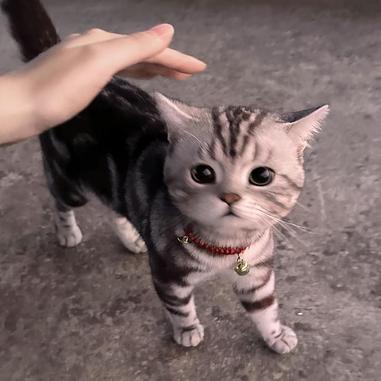 发个hi我们重新开始