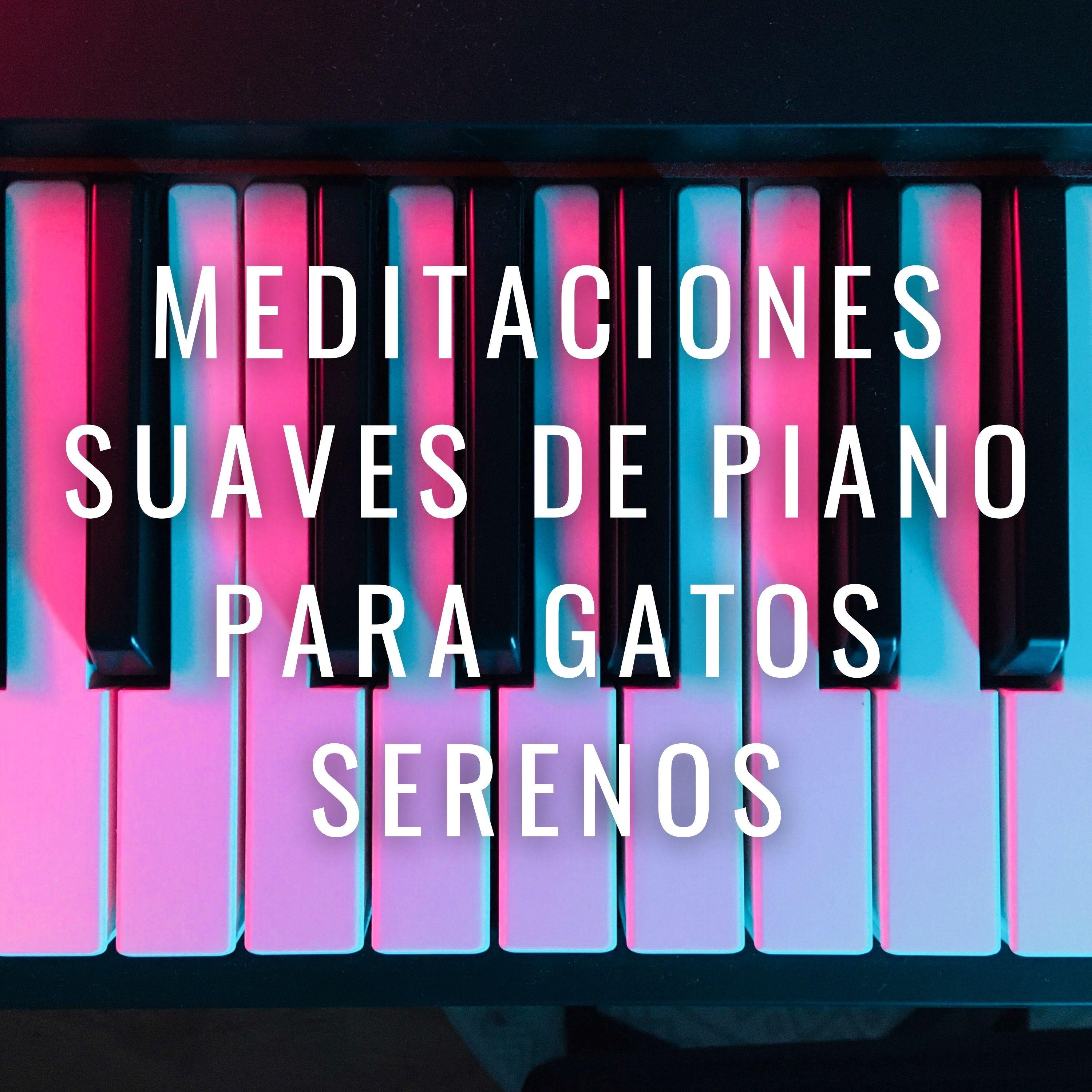 Armonía Para Gatos_Paz del piano_Ronroneos Pacíficos: Meditaciones Suaves De Piano Para Gatos Serenos | 在线播放_Armonía Para Gatos歌词_Armonía Para Gatos下载 | 网易云音乐
