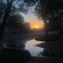李博林