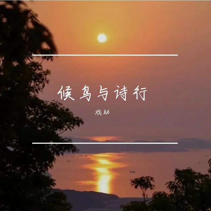 候鸟与诗行封面