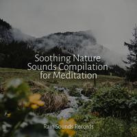 Soothing Nature Sounds Compilation for Meditation