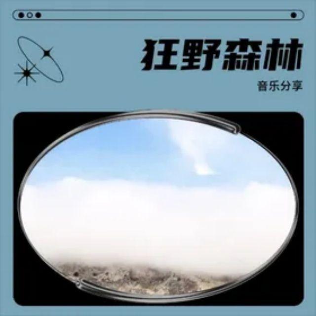 欢快一夏（纯音乐）封面