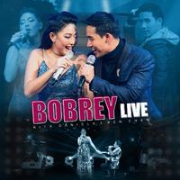 Bobrey (Live)