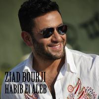 Habib El Aleb