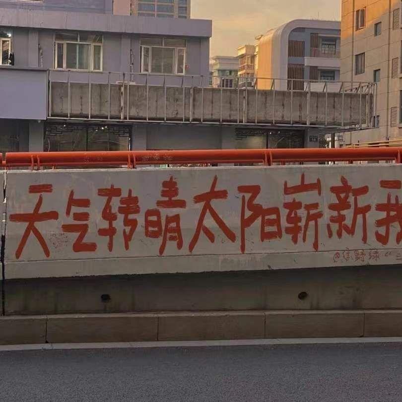苔藓酸涩封面