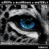 Sebastian Groth - Snow Leopard 2023 (Re-Attack)