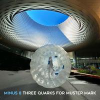 Three Quarks for Muster Mark