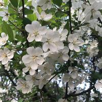 点八点