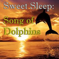 Sweet Sleep: Songs of Dolphins