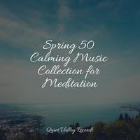 Spring 50 Calming Music Collection for Meditation