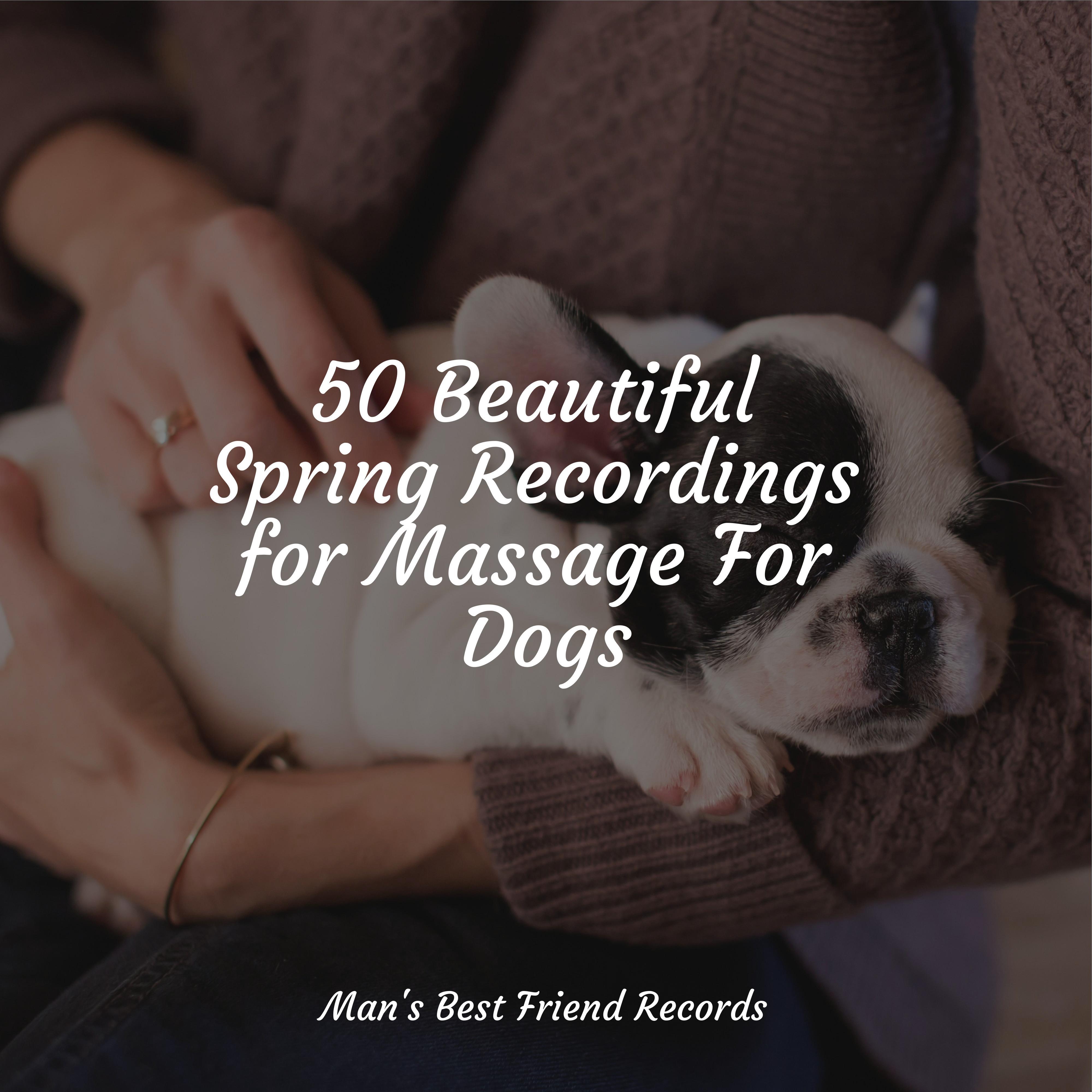 The Secret To Stress Free Travel Dogtopia Daycare After Hours To The Rescue - fyg3is0