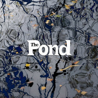 Pond