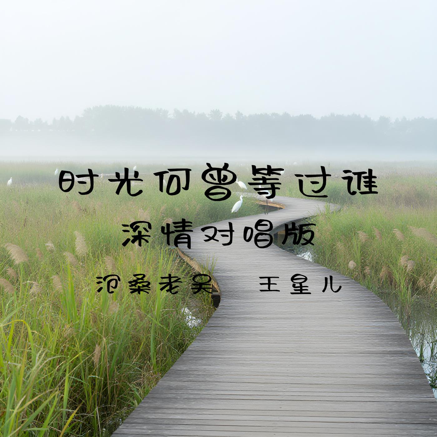 时光何曾等过谁（深情对唱版）封面