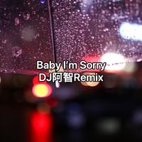 Baby I'm Sorry(DJ阿智Remix）