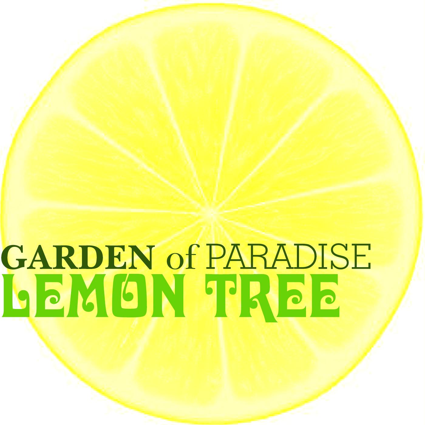 Lemon Tree封面