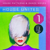 House Unites - Pattern 1