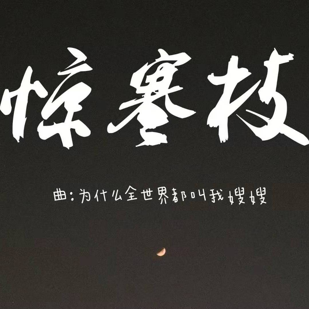 惊寒枝封面