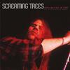 Screaming Trees - Shadow Of The Season (Live 1993)