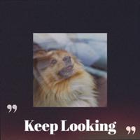 Keep Looking